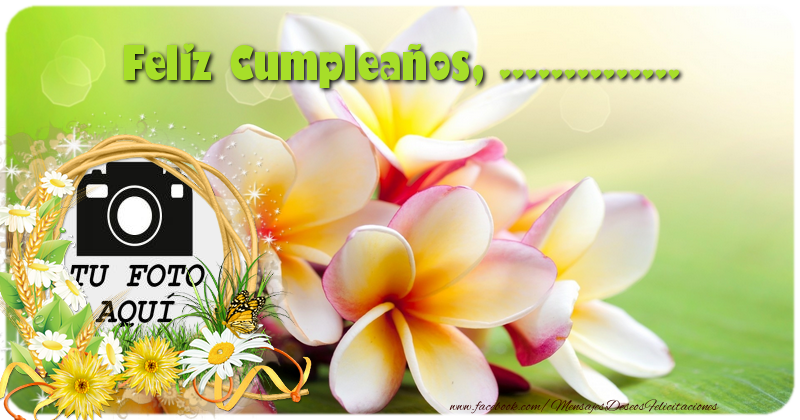 Tarjetas De Cumpleaos Animadas Gratis Bluemountain